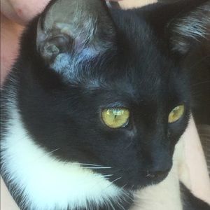 Meet your Posher, Barbara